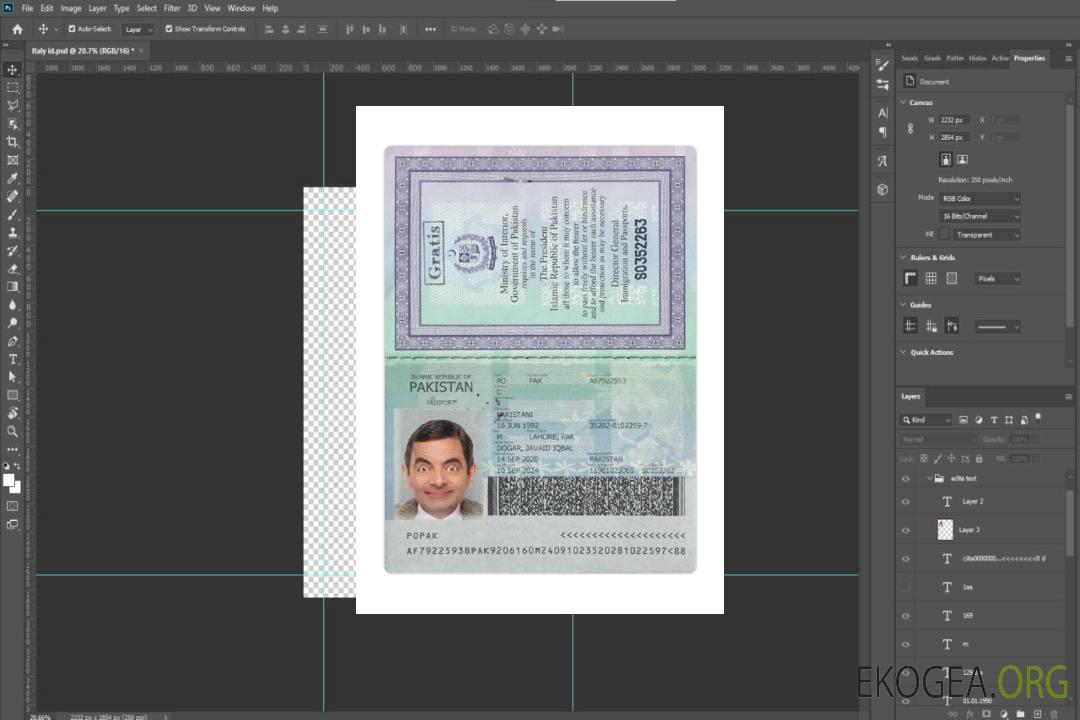 Passeport pakistanais 2020-présent template Passeport pakistanais 2020-présent template